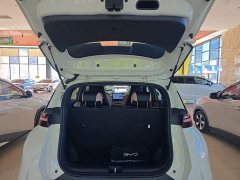 BYD Seagull 305km Vitality Edition - ფოტო 19