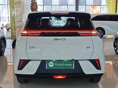 BYD Seagull 305km Vitality Edition - ფოტო 6