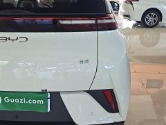 BYD Seagull 305km Vitality Edition - ფოტო 8