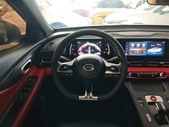 Trumpchi Leopard 2021 270T DCT J11 - ფოტო 11
