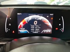 Trumpchi Leopard 2021 270T DCT J11 - ფოტო 12