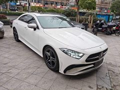 Mercedes-Benz CLS 300 Luxury - ფოტო 20