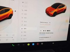Tesla Model Y 2022 Performance All-Wheel Drive - ფოტო 4