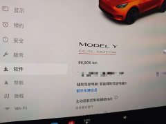 Tesla Model Y 2022 Performance All-Wheel Drive - ფოტო 5