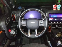 Great Wall Dachshund 1.5T DCT Two-Wheel Drive Malinois Edition - ფოტო 3