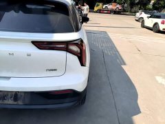 Geely Geometry E Firefly 2024 301km Aurora - ფოტო 8