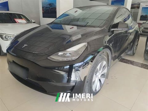 2021 Tesla Model Y Standard Range RWD - ავტომობილი ჩინეთიდან