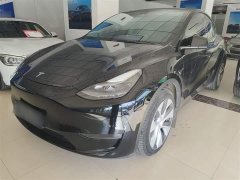 Tesla Model Y Standard Range RWD - ფოტო 2