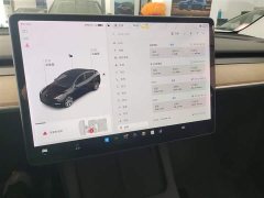 Tesla Model Y Standard Range RWD - ფოტო 4