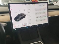 Tesla Model Y Standard Range RWD - ფოტო 5