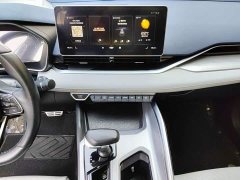 Geely Xingrui 2021 Facelift 2.0T Diesel Premium - ფოტო 13
