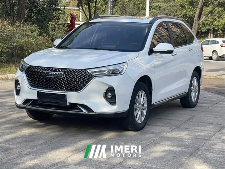 Haval M6 2021 PLUS 1.5T DCT Luxury Smart Connected Edition - ავტომობილი ჩინეთიდან