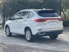 Haval M6 2021 PLUS 1.5T DCT Luxury Smart Connected Edition - ფოტო 20