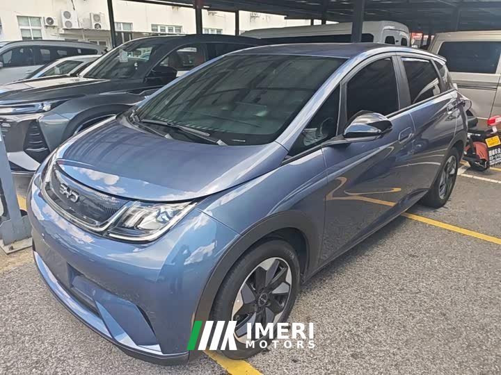 BYD Dolphin Glory Edition 420km Freedom Version - ავტომობილი ჩინეთიდან