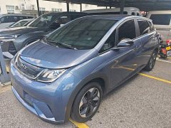 BYD Dolphin Glory Edition 420km Freedom Version - ფოტო 1