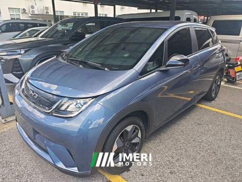 2024 BYD Dolphin Glory Edition 420km Freedom Version