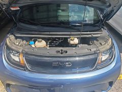 BYD Dolphin Glory Edition 420km Freedom Version - ფოტო 16