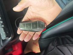 BYD Dolphin Glory Edition 420km Freedom Version - ფოტო 17