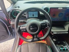 BYD Dolphin Glory Edition 420km Freedom Version - ფოტო 7