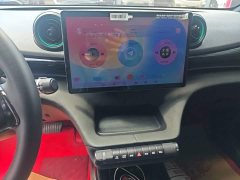 BYD Dolphin Glory Edition 420km Freedom Version - ფოტო 9