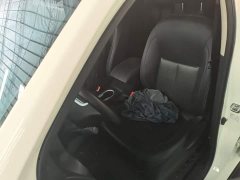 Nissan Palazzo 1.8T Manual 2WD Elite Edition - ფოტო 15