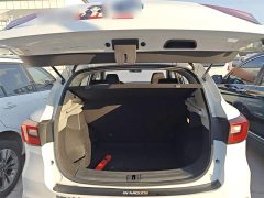SAIC MG ZS 2020 Globally bestselling million-unit 1.5L Manual 65-inch Giant Screen Sunroof Edition - ფოტო 19
