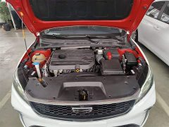 Geely Binrui 2021 1.4T CVT Asian Games Edition - ფოტო 9