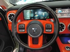 Tank 300 City Edition 2.0T Stylish - ფოტო 11