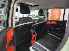 Tank 300 City Edition 2.0T Stylish - ფოტო 17