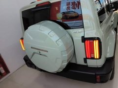 Tank 300 City Edition 2.0T Stylish - ფოტო 6