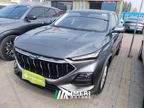 2021 Changan Oushan X5 1.6L CVT Luxury - ავტომობილი ჩინეთიდან