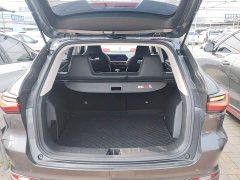Changan Oushan X5 1.6L CVT Luxury - ფოტო 19