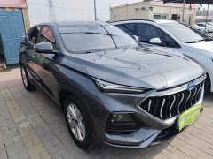 Changan Oushan X5 1.6L CVT Luxury - ფოტო 4