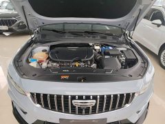 Geely Xingrui 2023 1.5TD Kunlun Edition - ფოტო 20