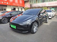 Tesla Model Y Rear-Wheel Drive - ფოტო 1