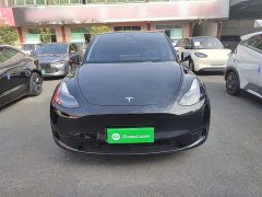 Tesla Model Y Rear-Wheel Drive - ფოტო 19