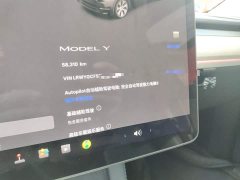 Tesla Model Y Rear-Wheel Drive - ფოტო 4