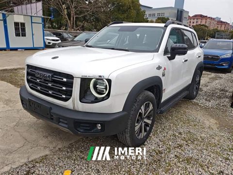 2021 Great Wall Dachshund 1.5T DCT Two-Wheel Drive Labrador Edition - ავტომობილი ჩინეთიდან