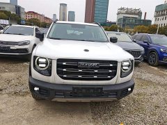 Great Wall Dachshund 1.5T DCT Two-Wheel Drive Labrador Edition - ფოტო 3