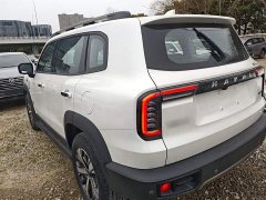 Great Wall Dachshund 1.5T DCT Two-Wheel Drive Labrador Edition - ფოტო 5