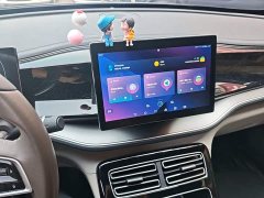 BYD Qin PLUS Champion Edition DM-i 55KM Exceed - ფოტო 13