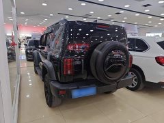 Tank 300 Off-Road Edition 2.0T Conqueror - ფოტო 8