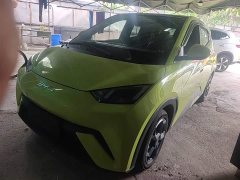 BYD Seagull Glory Edition 305km Freedom Version - ფოტო 2