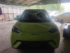 BYD Seagull Glory Edition 305km Freedom Version - ფოტო 3