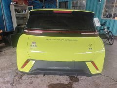 BYD Seagull Glory Edition 305km Freedom Version - ფოტო 4