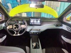 BYD Seagull Glory Edition 305km Freedom Version - ფოტო 6
