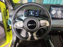 BYD Seagull Glory Edition 305km Freedom Version - ფოტო 7
