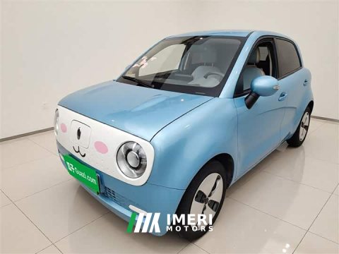 2021 ORA Black Cat 2019 301km Standard Edition - ავტომობილი ჩინეთიდან