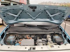 ORA Black Cat 2019 301km Standard Edition - ფოტო 16