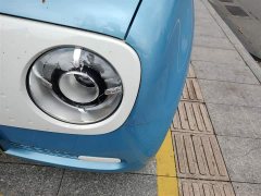 ORA Black Cat 2019 301km Standard Edition - ფოტო 18